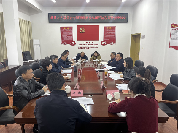 4月7日，縣人大常委會主任梅代軍帶隊專題調研徽投集團經(jīng)濟稅源情況，集團洪董、葉總、方總參加調研座談。.jpg