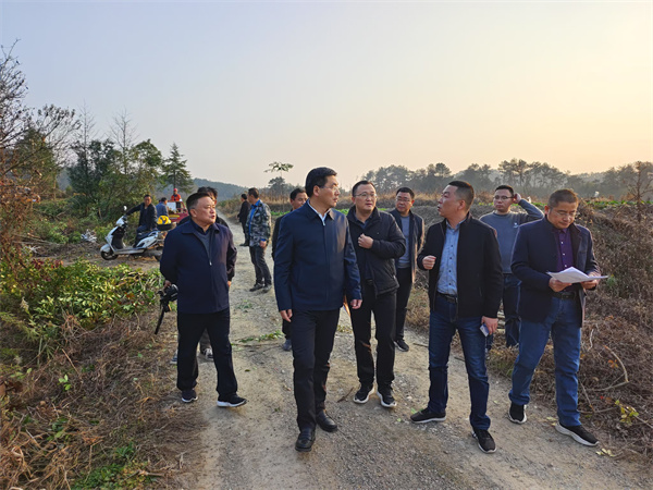 12月4日，集團領導陪同王奇勇縣長一行調(diào)研新管苗圃.jpg