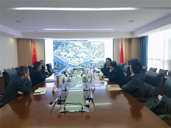12月12日，洪董會浙江藏元匯控股公司研究集團(tuán)文旅業(yè)態(tài)項目.jpg