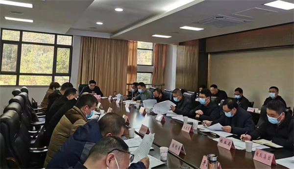 12月14日，王奇勇縣長(zhǎng)主持召開望豐項(xiàng)目工作專班推進(jìn)會(huì).jpg