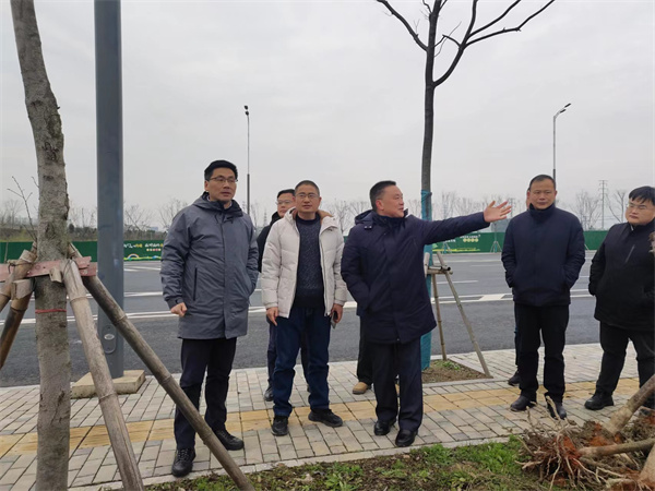 2月14日，洪董陪同王奇勇縣長一行督導衛(wèi)拍地塊.jpg