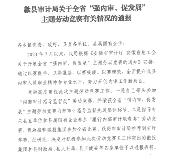 強(qiáng)內(nèi)審、促發(fā)展.png